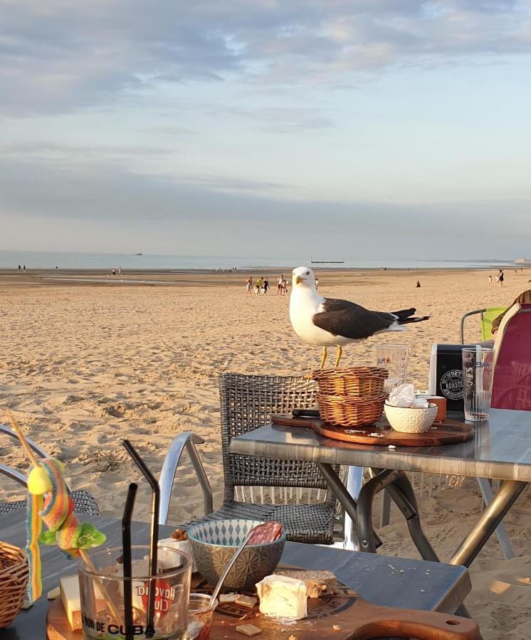 Le Home Sweet Home D'Alice!!! A La Villa Alice Roger Dunkirk Exterior foto